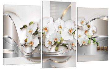 Модульная картина DK Ветка орхидеи 53x100 см (MK30286_E) MK30286_E фото