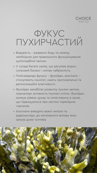 Фітокомплекс &laquo;Гармонія&raquo; - для нормалізації щитоподібної залози choice_6 фото